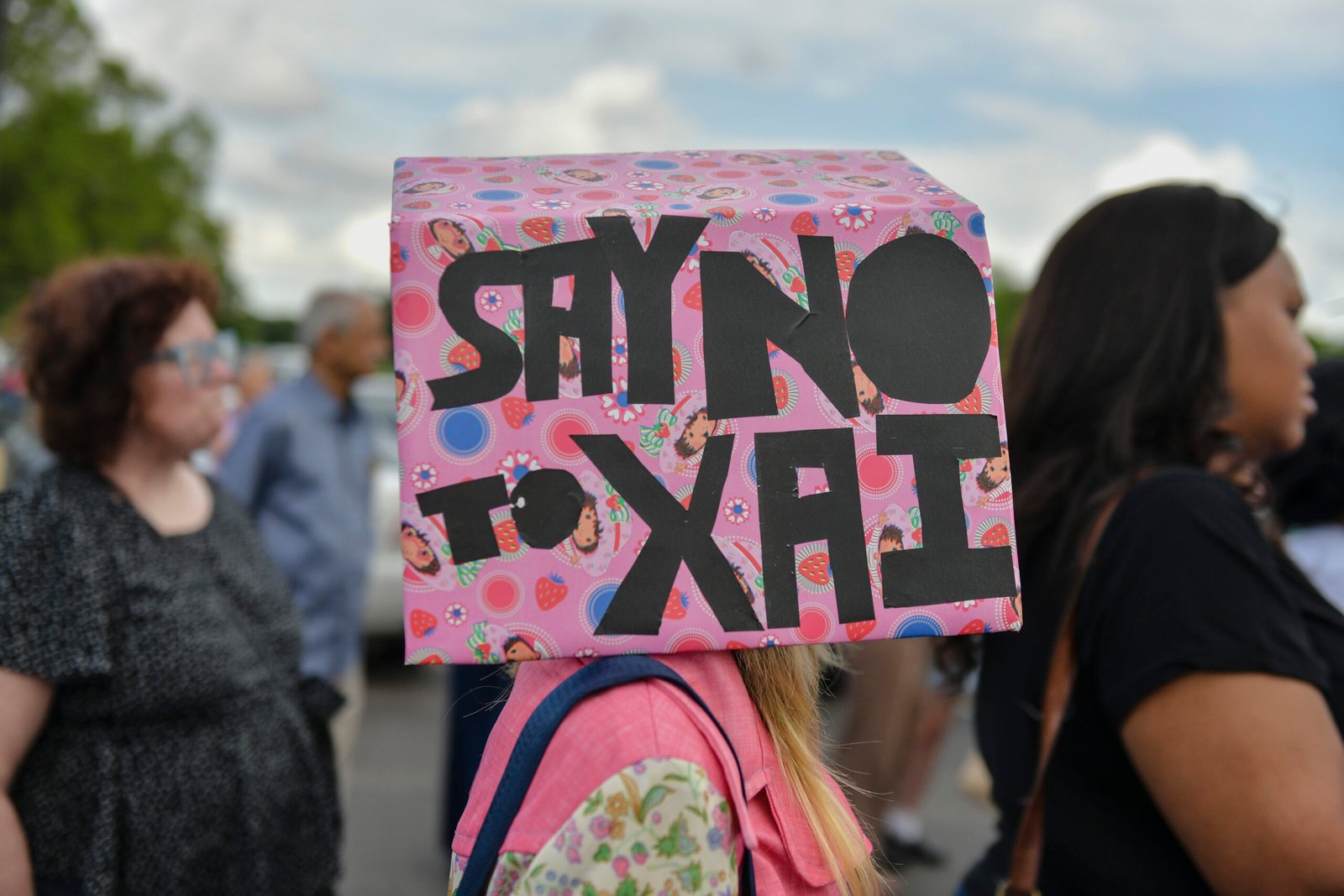 Demonstrators gather in opposition to a plan by Elon Musk’s xAI to use gas turbines for a new data center.